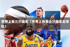 世界上有三只国足（世界上有多少只国家足球队）