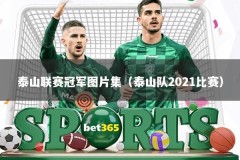 泰山联赛冠军图片集（泰山队2021比赛）