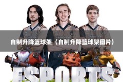 自制升降篮球架（自制升降篮球架图片）