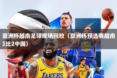 亚洲杯越南足球现场回放（亚洲杯预选赛越南1比2中国）